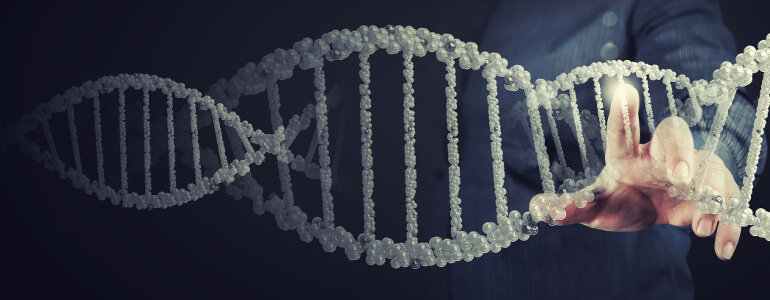 DNA Diaet Stoffwechselanalyse - Die Stoffwechselanalyse - Ablauf, Kosten und Wirksamkeit