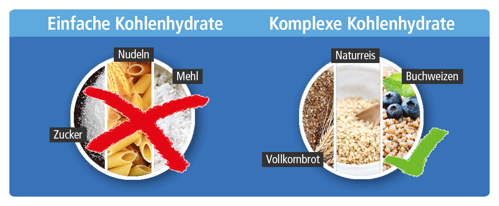 komplexe einfache kohlenhydrate - Die verschiedenen Stoffwechsel-Typen