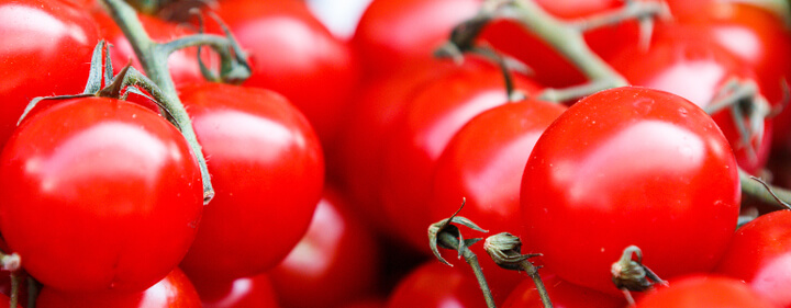 natuerliche appetitzuegler tomaten - Natürliche Appetitzügler